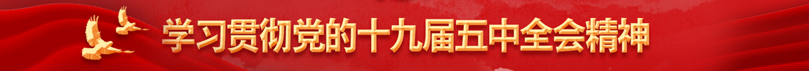 學(xué)習(xí)貫徹黨的十九屆五中全會(huì)精神